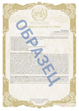 Образец Приложение к СТО 01.064.00220722.2-2020 Выкса Сертификат СТО 01.064.00220722.2-2020 